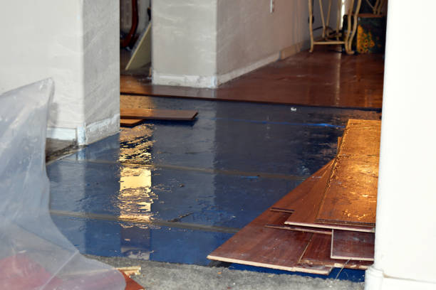 Professional Basement Flood Cleanup technician working in Crystal, MN